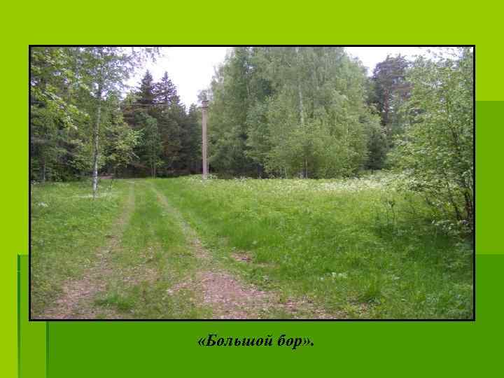  «Большой бор» . 