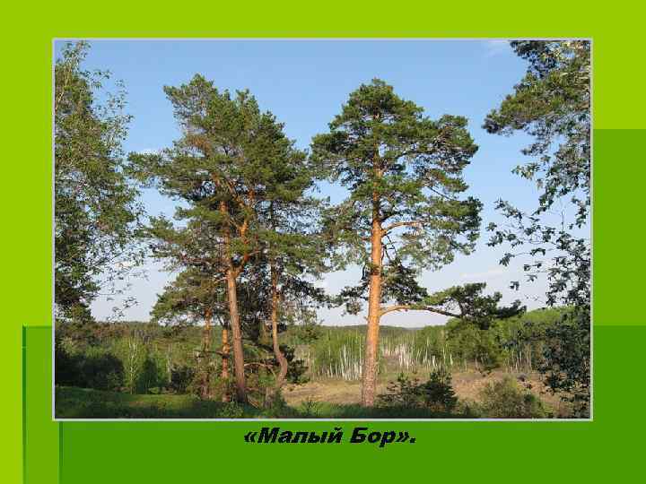  «Малый Бор» . 