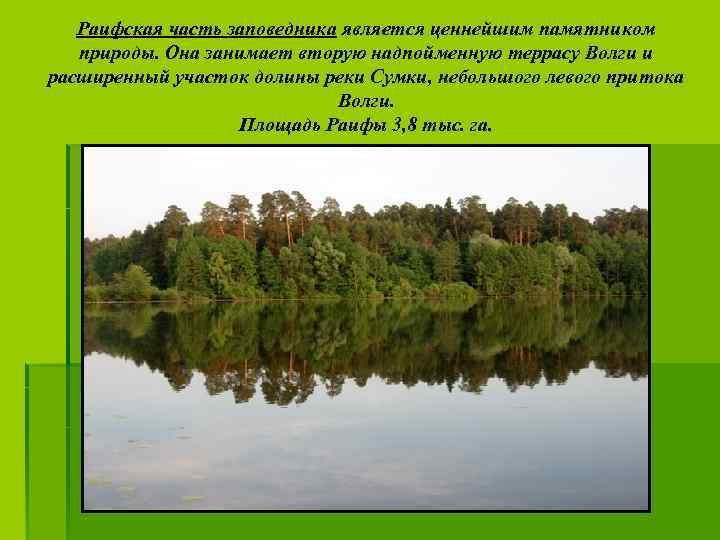 Волжско камский заповедник татарстана презентация