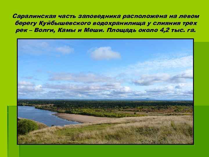 Саралинская часть заповедника расположена на левом берегу Куйбышевского водохранилища у слияния трех рек –