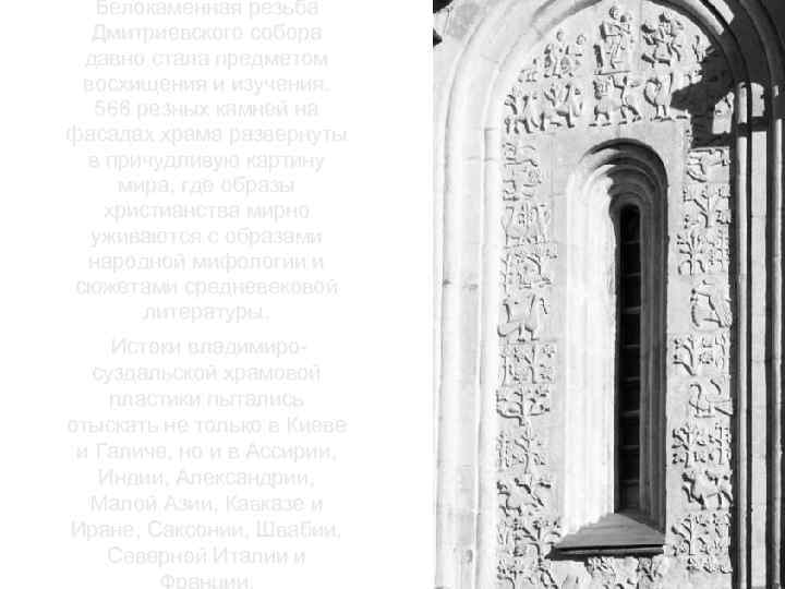 Белокаменная резьба Дмитриевского собора давно стала предметом восхищения и изучения. 566 резных камней на
