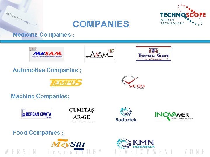  COMPANIES Medicine Companies ; Automotive Companies ; Machine Companies; Food Companies ; 