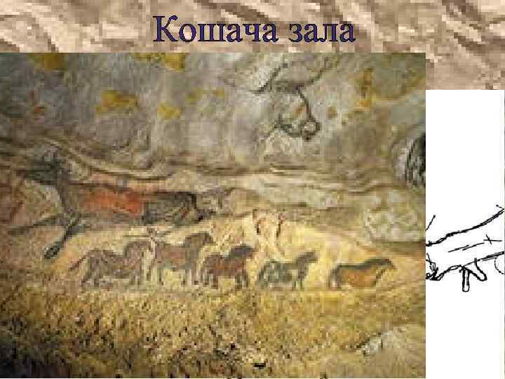 Кошача зала 