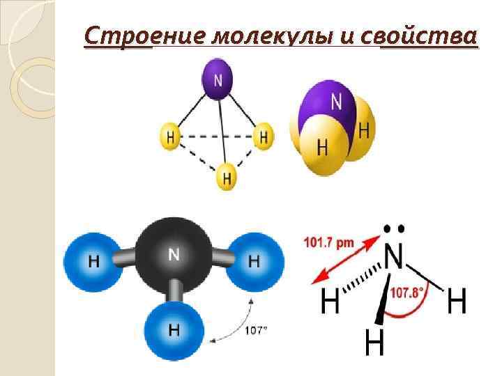 Строение молекулы и свойства 