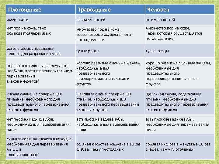 Плотоядные Травоядные Человек имеет когти не имеет когтей нет пор на коже, тело охлаждается