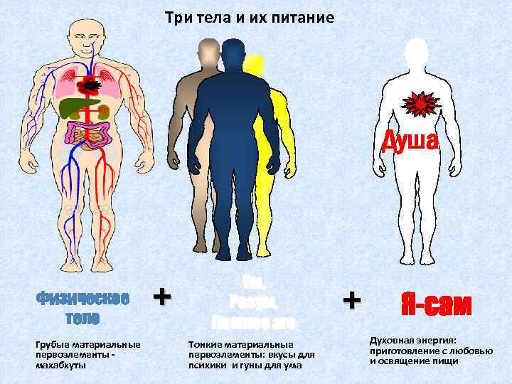 Три тела и их питание Душа Физическое тело Грубые материальные первоэлементы - махабхуты +