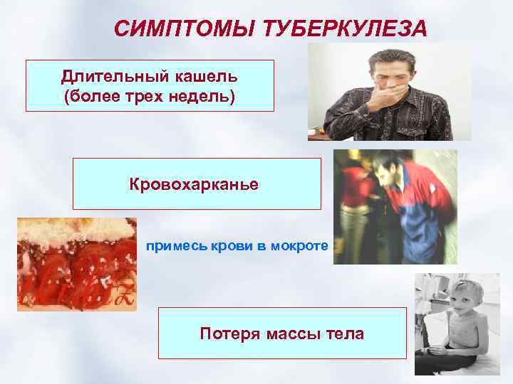 СИМПТОМЫ ТУБЕРКУЛЕЗА Длительный кашель (более трех недель) Кровохарканье примесь крови в мокроте Потеря массы