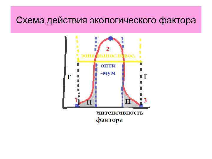 Схема действия экологического фактора 