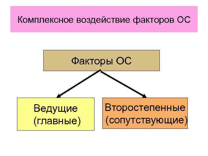 Комплексное воздействие факторов ОС Факторы ОС Ведущие (главные) Второстепенные (сопутствующие) 