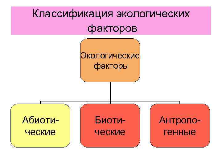 Какой фактор называют. Экологические факторы окружающей среды классификация. Схема классификации экологических факторов. Классификация факторов экология. Экологические факторы классификация экологических факторов.