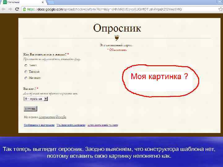Так теперь выглядит опросник. Заодно выясняем, что конструктора шаблона нет, поэтому вставить свою картинку