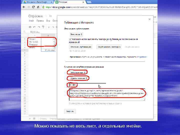 Можно показать не весь лист, а отдельные ячейки. 