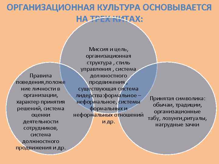 ОРГАНИЗАЦИОННАЯ КУЛЬТУРА ОСНОВЫВАЕТСЯ НА ТРЕХ КИТАХ: Правила поведения, положе ние личности в организации, характер