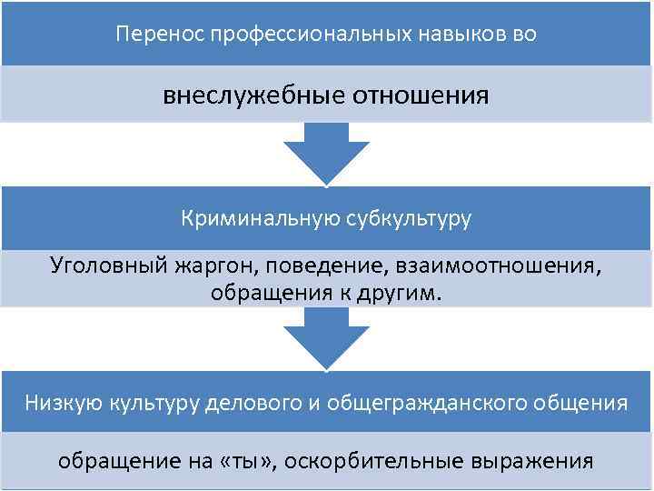 Перенос профессиональных навыков во внеслужебные отношения Криминальную субкультуру Уголовный жаргон, поведение, взаимоотношения, обращения к