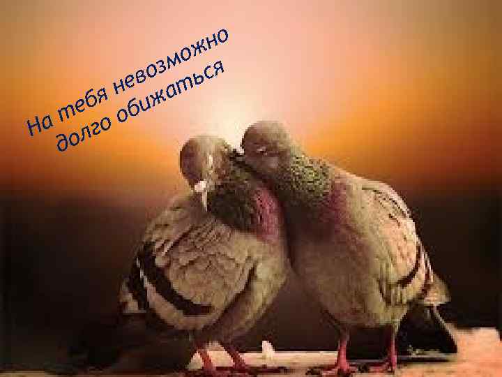 но ож зм ся во ть не а бя биж те о о На