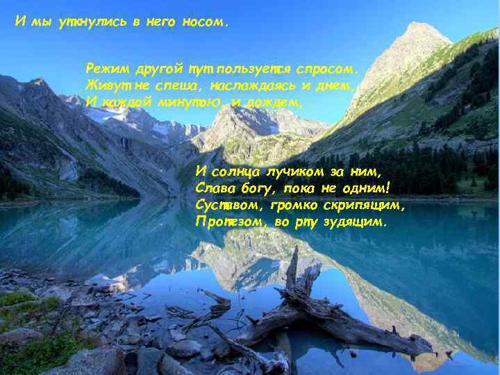 И мы уткнулись в него носом. Режим другой тут пользуется спросом. Живут не спеша,