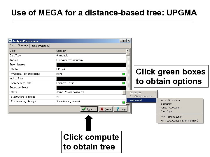 Use of MEGA for a distance-based tree: UPGMA Click green boxes to obtain options