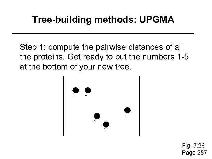 Tree-building methods: UPGMA Step 1: compute the pairwise distances of all the proteins. Get