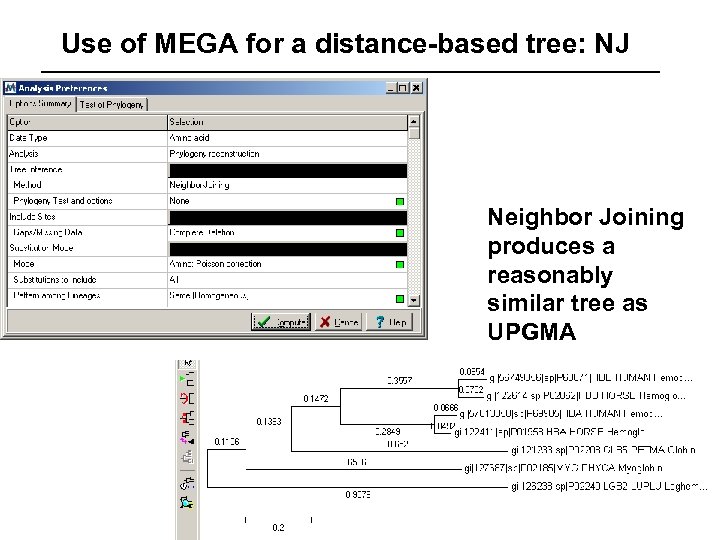 Use of MEGA for a distance-based tree: NJ Neighbor Joining produces a reasonably similar