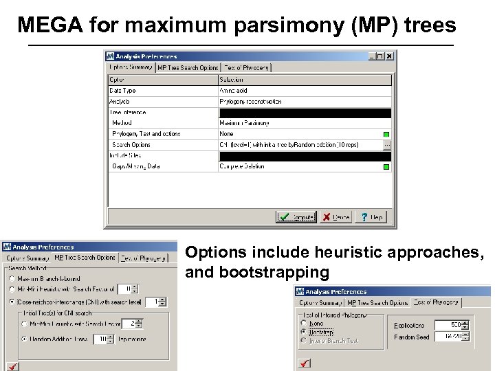 MEGA for maximum parsimony (MP) trees Options include heuristic approaches, and bootstrapping 