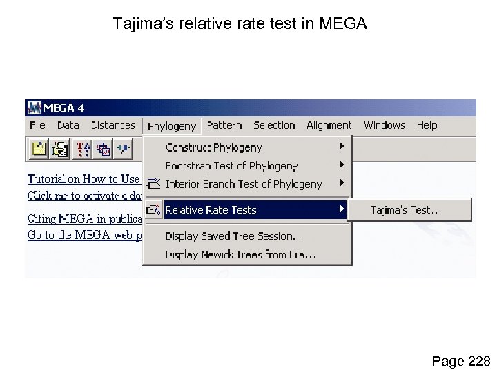 Tajima’s relative rate test in MEGA Page 228 