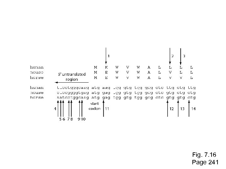 Fig. 7. 16 Page 241 