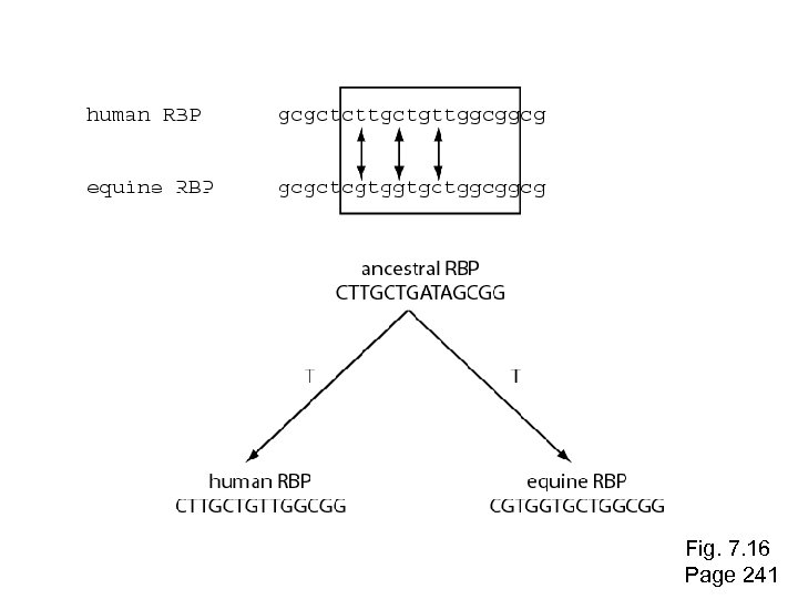 Fig. 7. 16 Page 241 