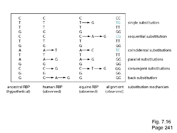 Fig. 7. 16 Page 241 