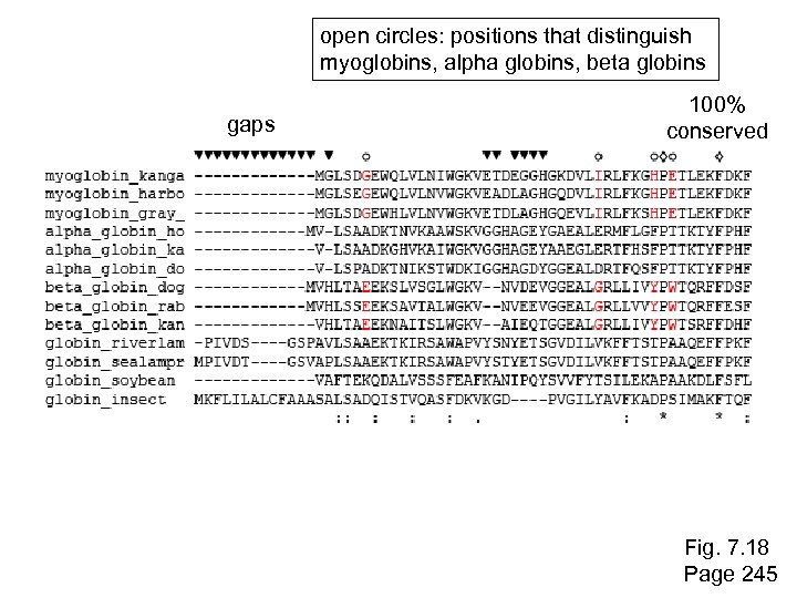 open circles: positions that distinguish myoglobins, alpha globins, beta globins gaps 100% conserved Fig.