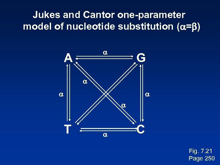 Jukes and Cantor one-parameter model of nucleotide substitution (a=b) a A G a a