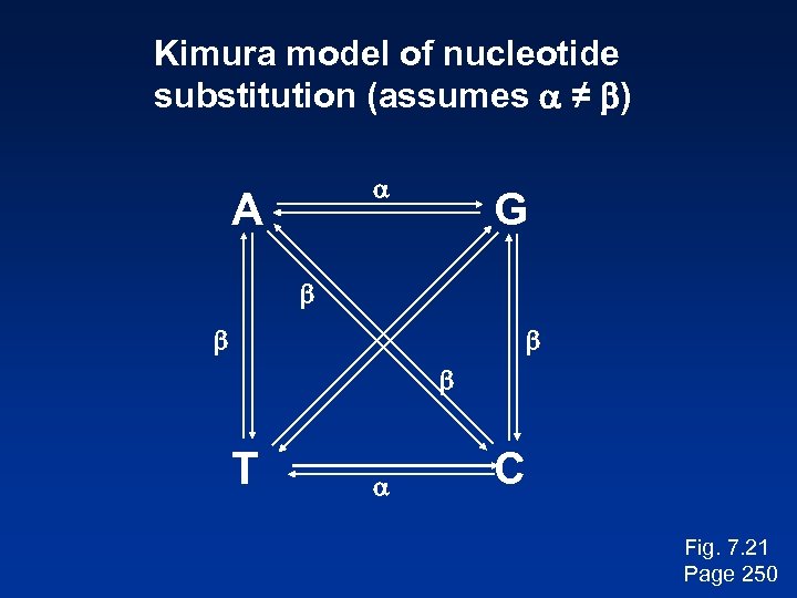 Kimura model of nucleotide substitution (assumes a ≠ b) a A G b b