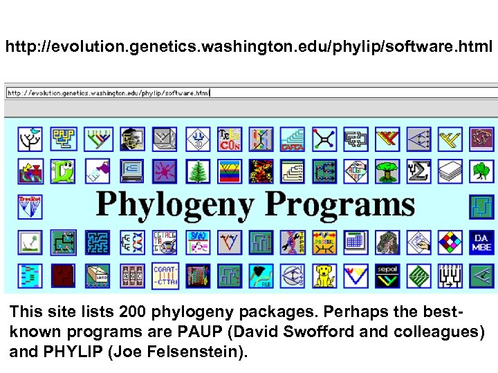 http: //evolution. genetics. washington. edu/phylip/software. html This site lists 200 phylogeny packages. Perhaps the