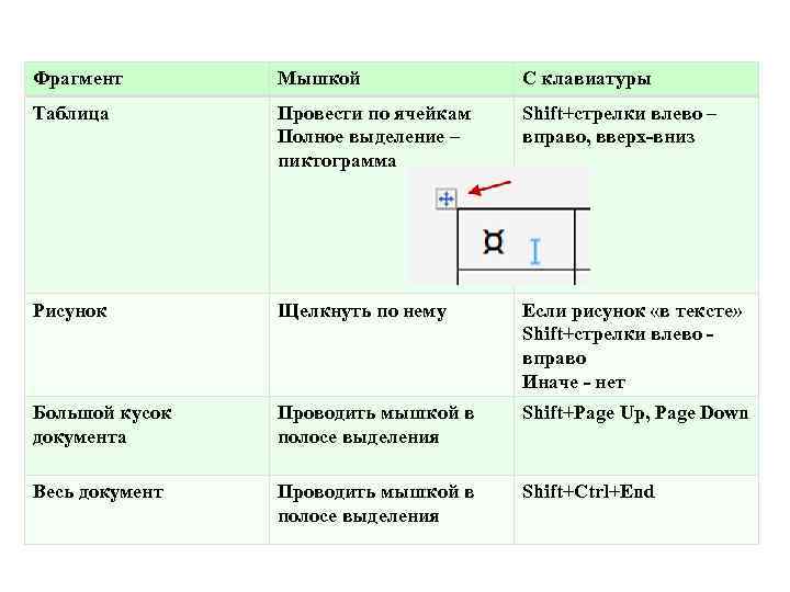 Фрагмент Мышкой С клавиатуры Таблица Провести по ячейкам Полное выделение – пиктограмма Shift+стрелки влево