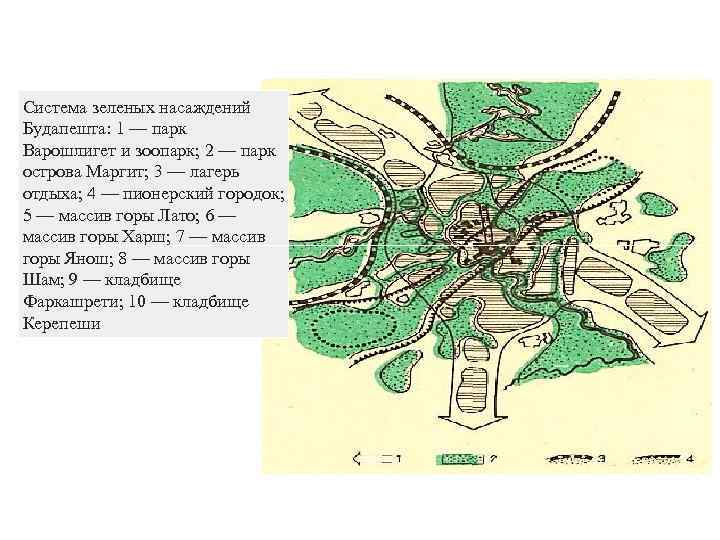 Схема зеленых насаждений