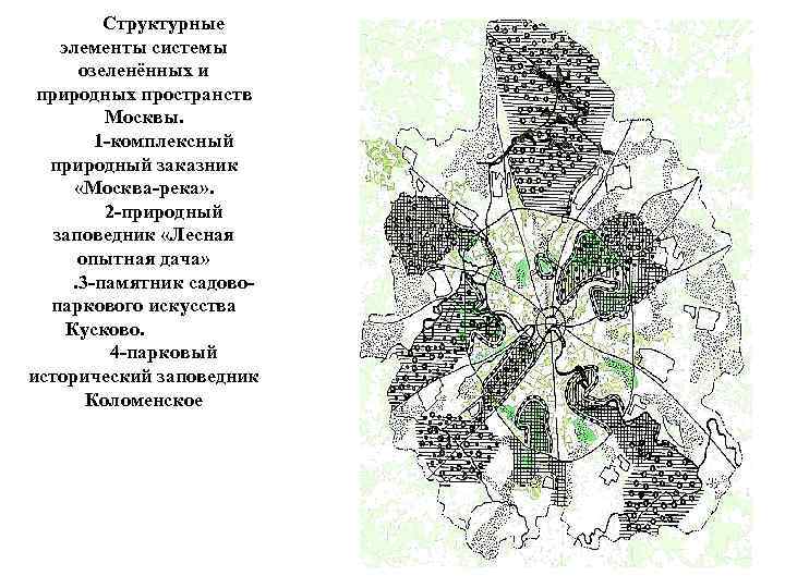 Структурные элементы системы озеленённых и природных пространств Москвы. 1 -комплексный природный заказник «Москва-река» .