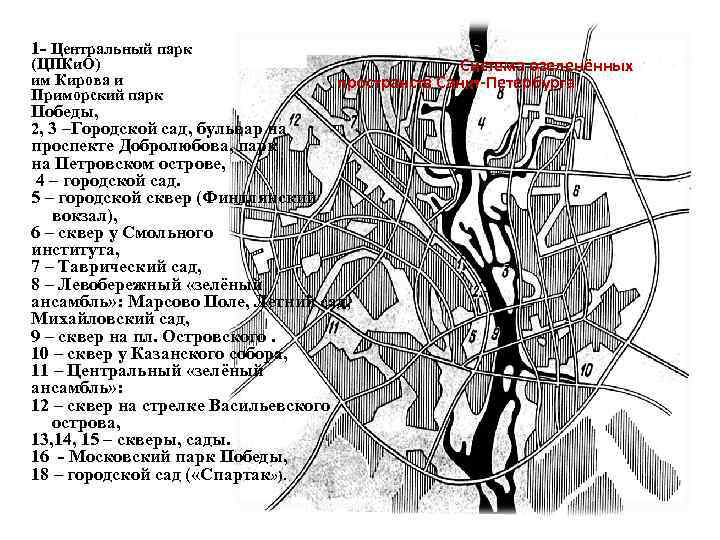 1 - Центральный парк (ЦПКи. О) им Кирова и Приморский парк Система озеленённых пространств
