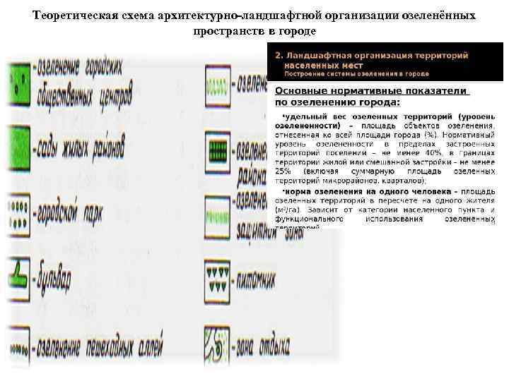 Теоретическая схема архитектурно-ландшафтной организации озеленённых пространств в городе 