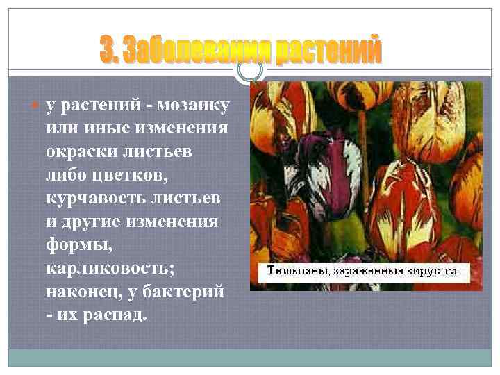  у растений - мозаику или иные изменения окраски листьев либо цветков, курчавость листьев