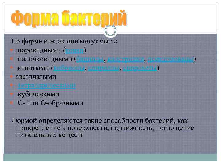 По форме клеток они могут быть: шаровидными (кокки) палочковидными (бациллы, клостридии, псевдомонады) извитыми (вибрионы,