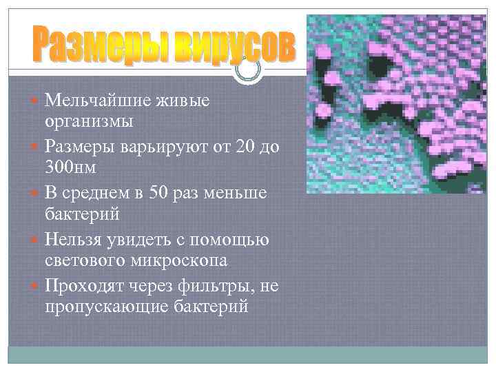  Мельчайшие живые организмы Размеры варьируют от 20 до 300 нм В среднем в