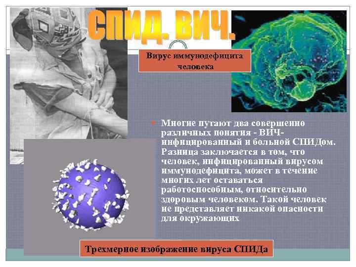 Вирус иммунодефицита человека Многие путают два совершенно различных понятия - ВИЧинфицированный и больной СПИДом.