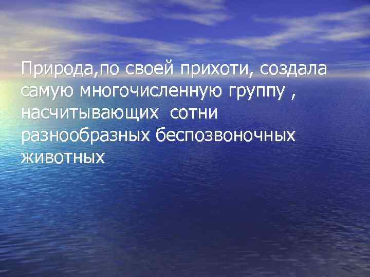 Природа, по своей прихоти, создала самую многочисленную группу , насчитывающих сотни разнообразных беспозвоночных животных