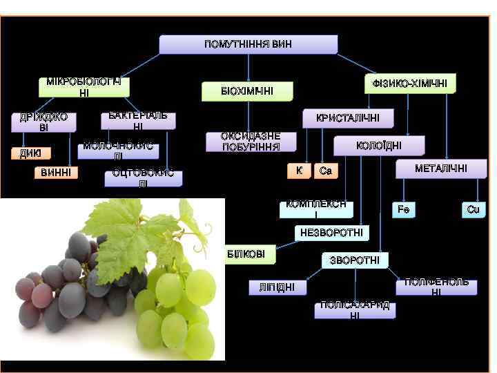 ПОМУТНІННЯ ВИН МІКРОБІОЛОГІЧ НІ ДРІЖДЖО ВІ ДИКІ ВИННІ БАКТЕРІАЛЬ НІ МОЛОЧНОКИС ЛІ ФІЗИКО-ХІМІЧНІ БІОХІМІЧНІ