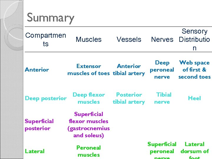 Summary Compartmen ts Anterior Deep posterior Superficial posterior Lateral Muscles Vessels Sensory Nerves Distributio