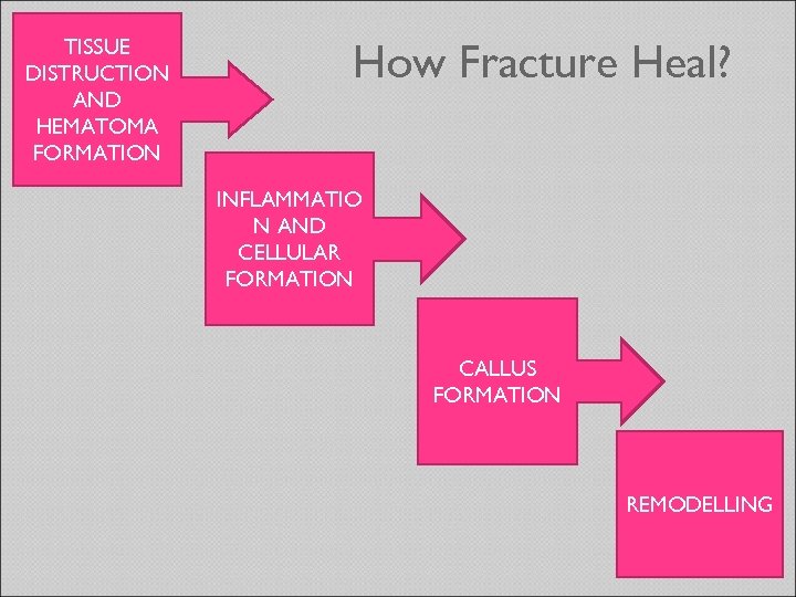 TISSUE DISTRUCTION AND HEMATOMA FORMATION How Fracture Heal? INFLAMMATIO N AND CELLULAR FORMATION CALLUS