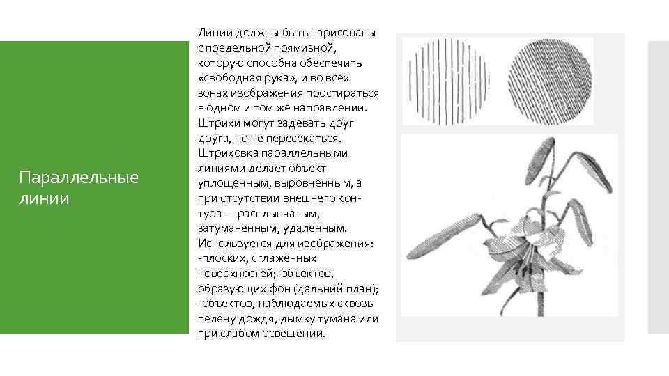 Параллельные линии Линии должны быть нарисованы с предельной прямизной, которую способна обеспечить «свободная рука»