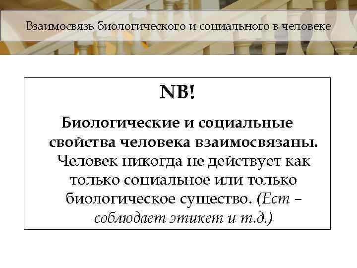 Взаимосвязь биологического и социального в человеке NB! Биологические и социальные свойства человека взаимосвязаны. Человек