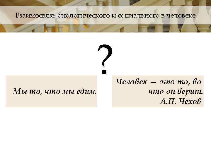 Взаимосвязь биологического и социального в человеке ? Мы то, что мы едим. Человек —