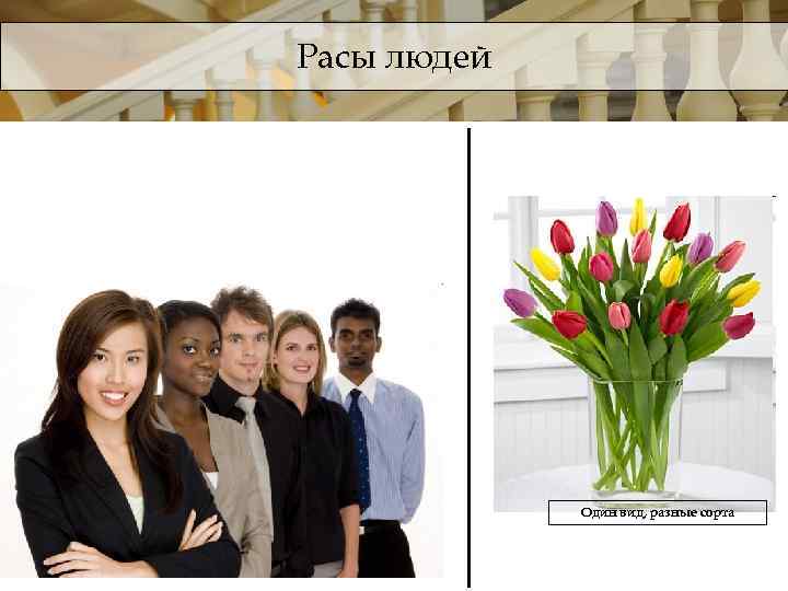 Расы людей Один вид, разные сорта 