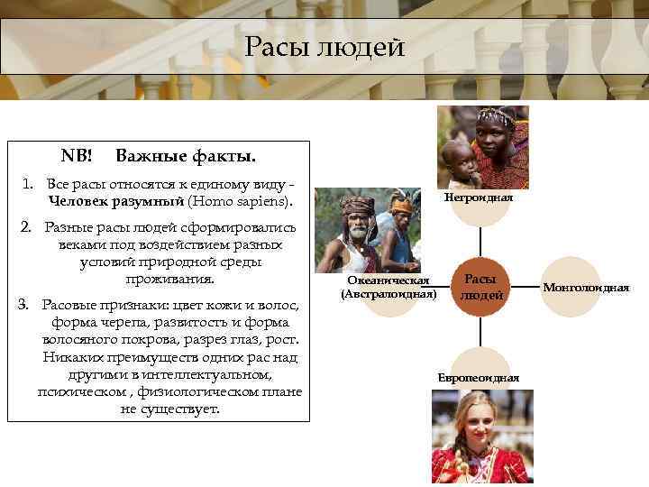 Расы людей NB! Важные факты. 1. Все расы относятся к единому виду Человек разумный